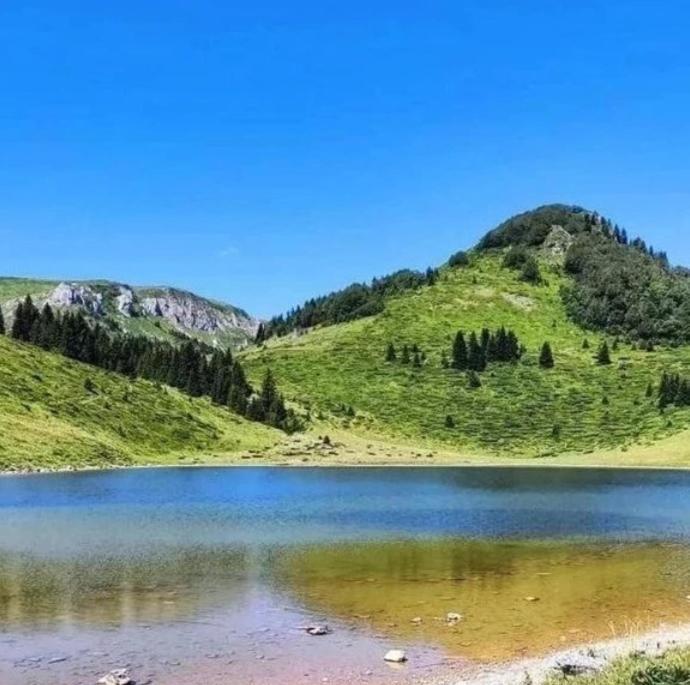 Golden Eagle Jelovica Holiday home