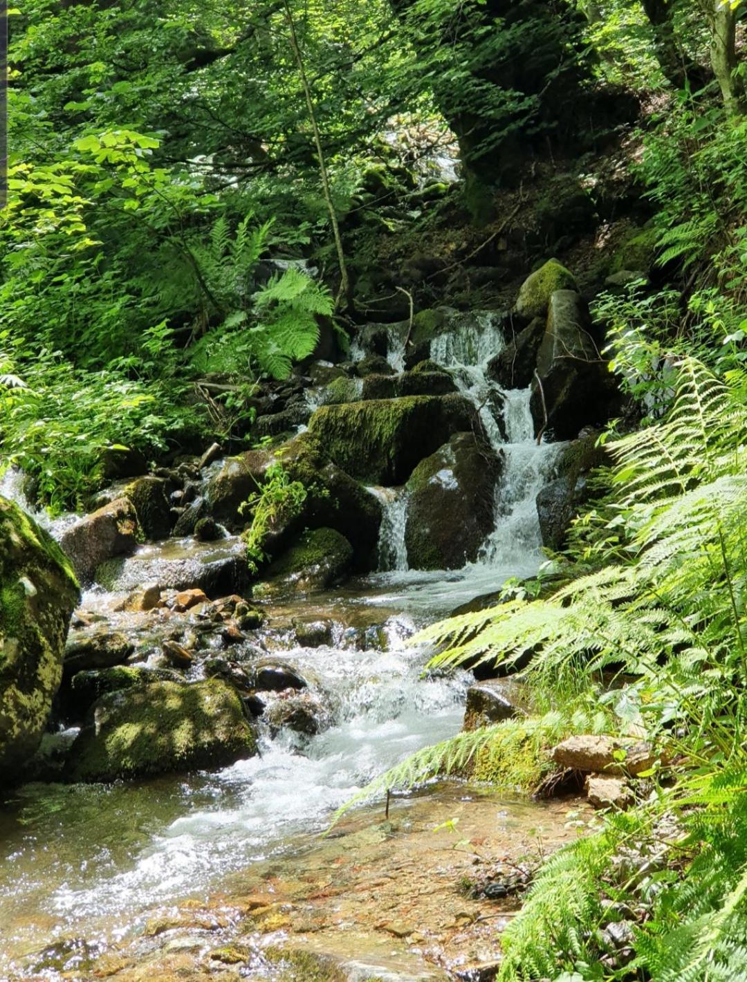 Golden Eagle Jelovica Holiday home Berane